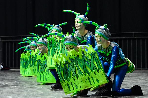 20151121Tanztunier der Karnevalisten __45.jpg - Soul-city- Dancers TSV Sa. 21.11.2015,Hannover (Foto:Herbert Frost)